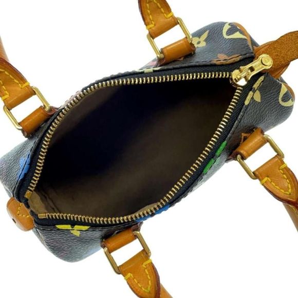 Louis Vuitton Handbag Multicolor Mini Speedy Bag - Picture 6 of 10